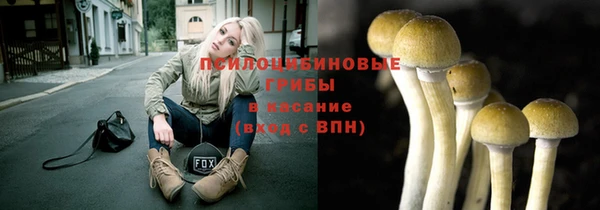 эйфоретик Белоозёрский