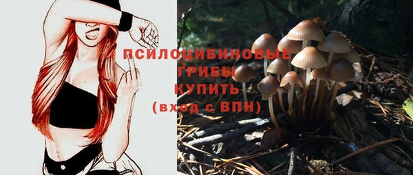 кокаин Белокуриха